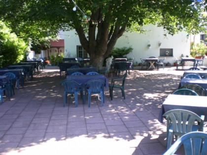 照片: Restaurant Dionysos